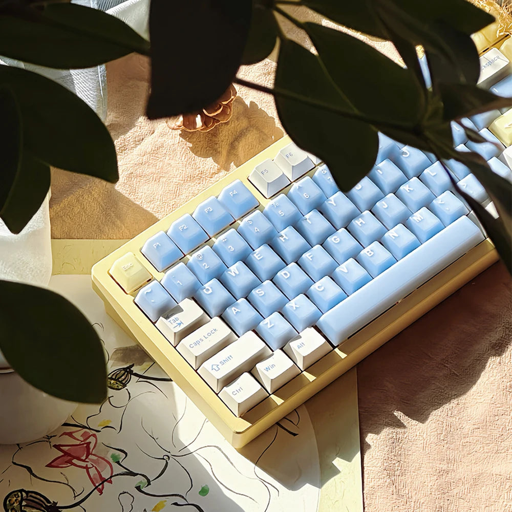 164 Keys Blue Translucent Keycaps PBT PC Double Shot Cherry Profile Large Set Keycaps for Alice Layout Mechanical Keyboard
