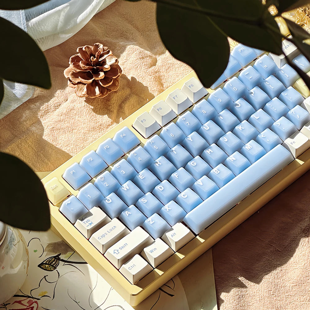 164 Keys Blue Translucent Keycaps PBT PC Double Shot Cherry Profile Large Set Keycaps for Alice Layout Mechanical Keyboard